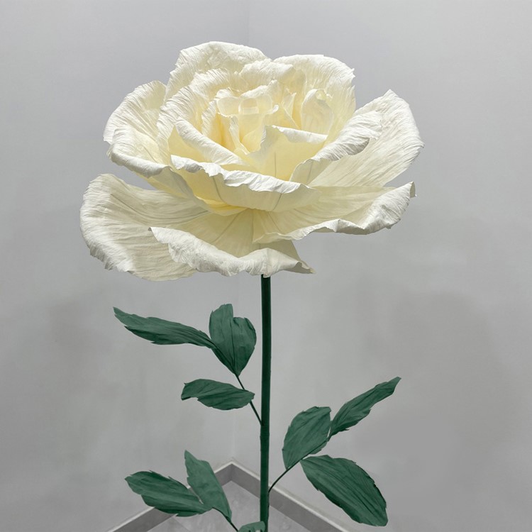 roses from giant roses from giant