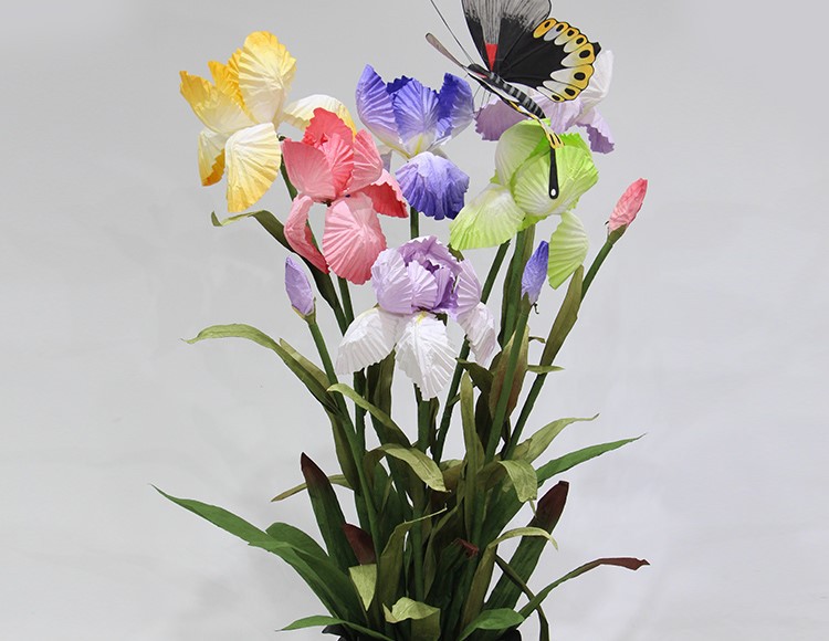 iris paper iris paper