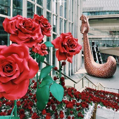 Valentine's Daypaper Flower