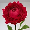Crepe Paper flower Crepe Paper flower