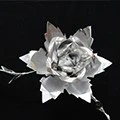 Cardstock flowers Cardstock flowers