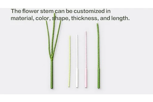 Flower Stem Flower Stem